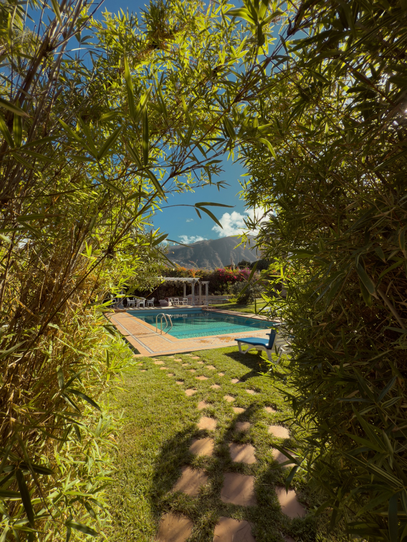 Pool surrounded by tropical gardens